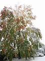NJ_NY 233